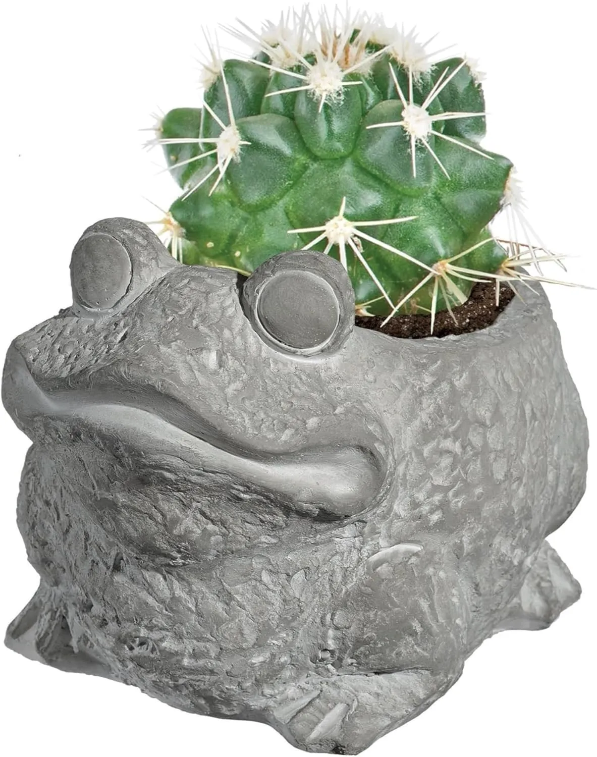 Classic Home and Garden Cement Buddies Indoor Outdoor Planter with Drainage Hole, Frog, Natural Gray, Large, 7.5in