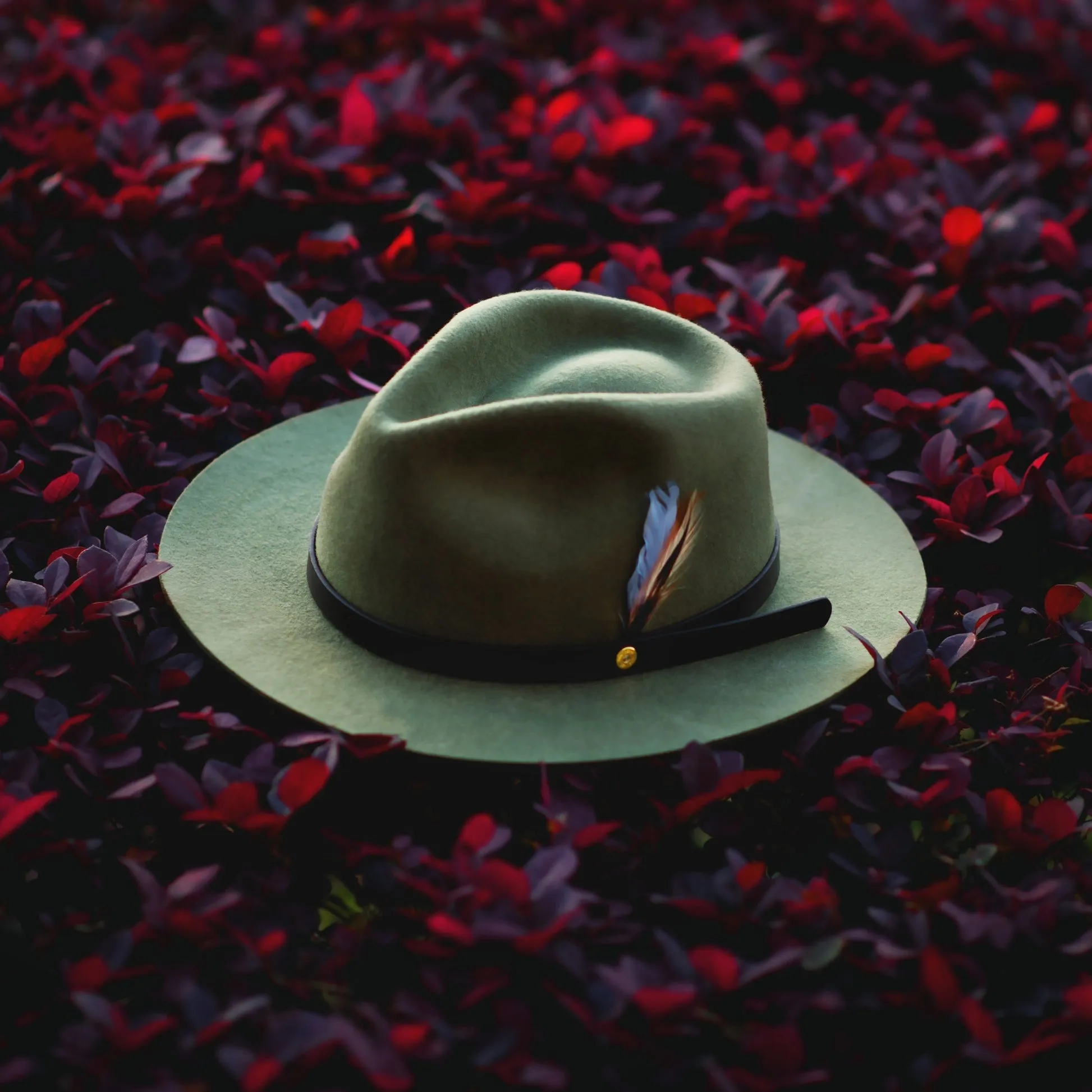 Dapper Men's Felt Fedora Hat – Brown