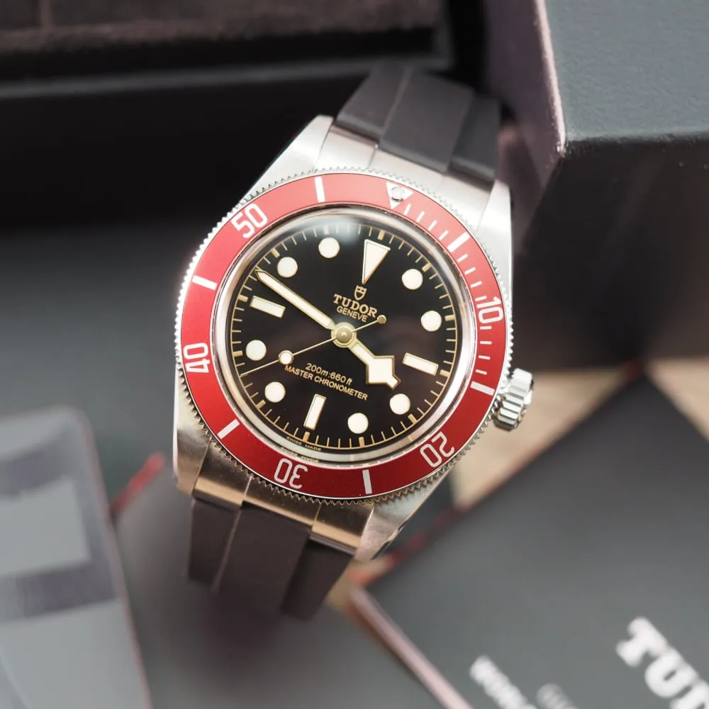 Tudor Black Bay M7941A1A0RU-0002 (2023)
